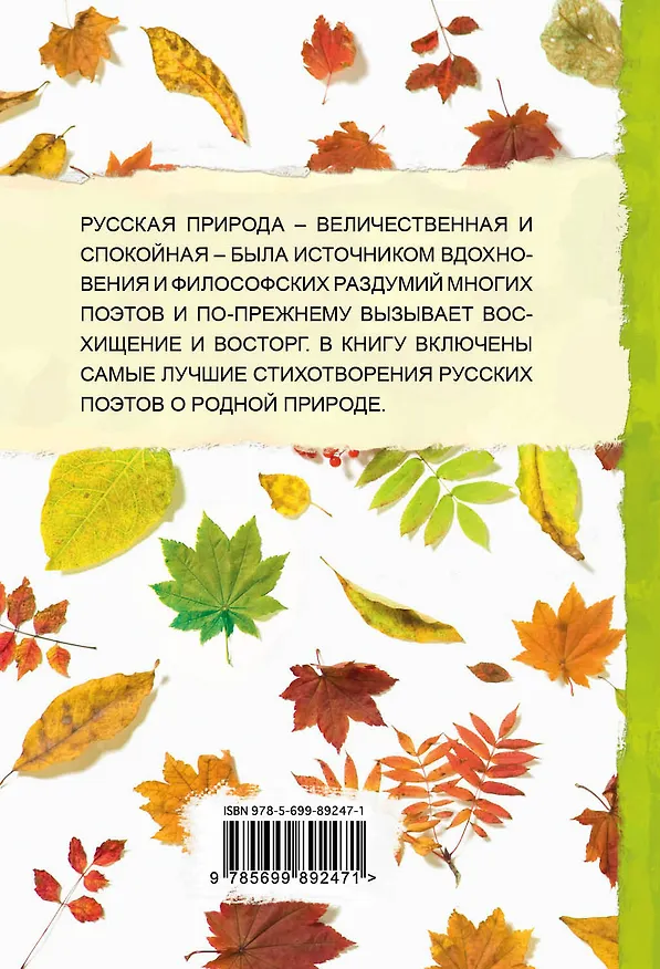 Книга 100 стихотворений о природе (Афанасий Фет, Михаил Лермонтов, Федор Тютчев, Александр Пушкин) — 2