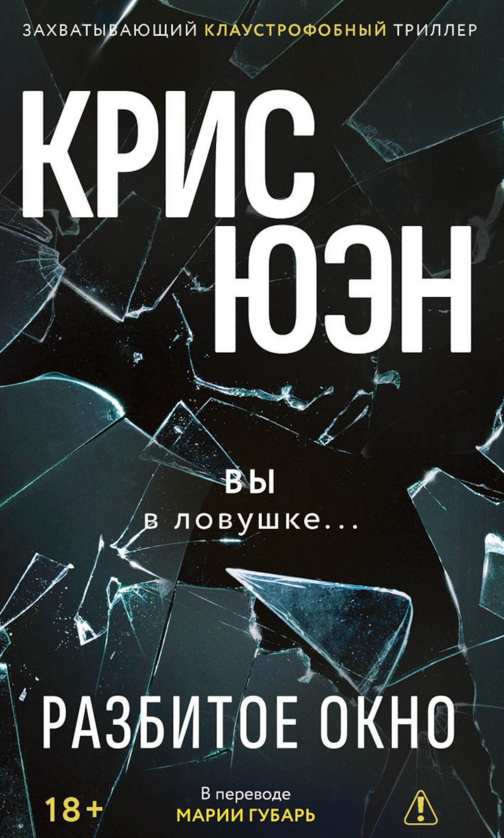 Разбитое окно