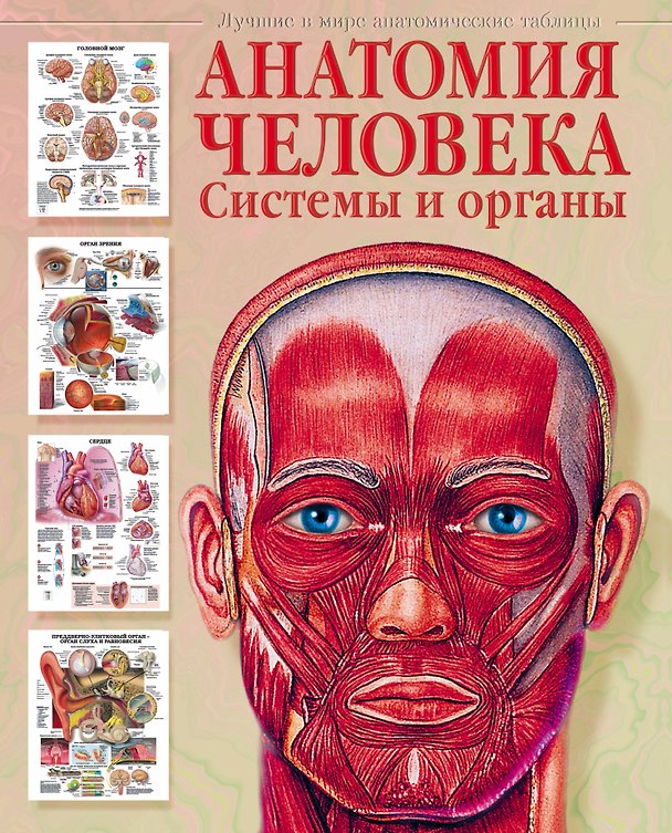 Книга Атлас анатомии человека. Системы и органы (Евгения Махиянова) — 1