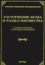 Расторжение брака и раздел имущества. Судебная практика и образцы документов