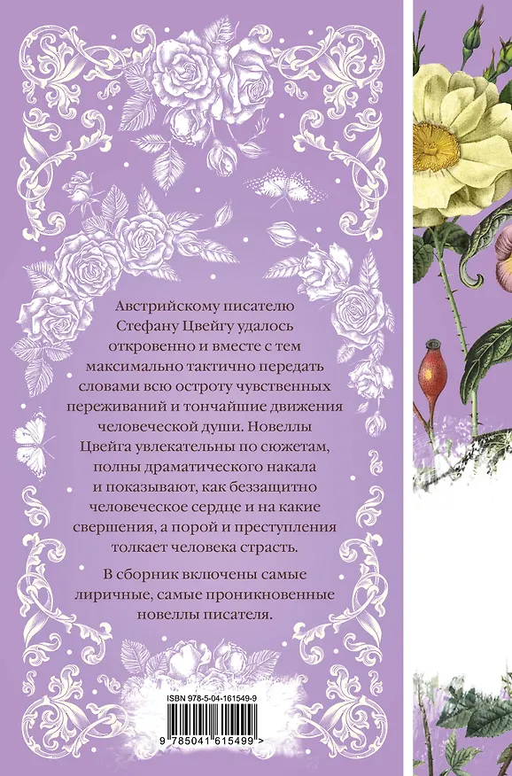 Книга Письмо незнакомки (Стефан Цвейг) — 2
