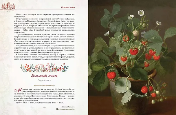 Книга Русский лес. Грибы и ягоды () — 12