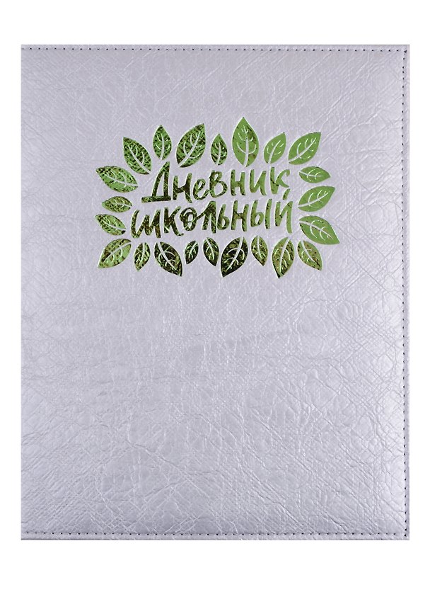 Дневник школьный «Серебряный», Феникс+ 254544 — 1