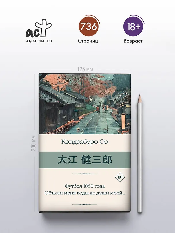 Книга Футбол 1860 года. Объяли меня воды до души моей... (Кэндзабуро Оэ) — 5
