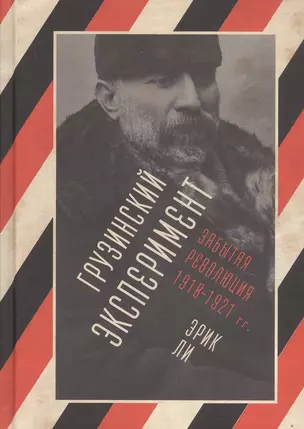 Грузинский эксперимент. Забытая революция 1918-1921 гг. — 2777682 — 1