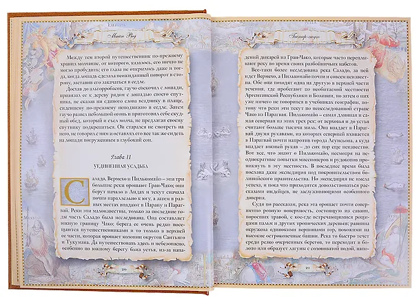 Книга Гаспар-гаучо () — 7