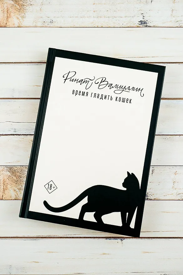 Книга Время гладить кошек (Ринат Валиуллин) — 6
