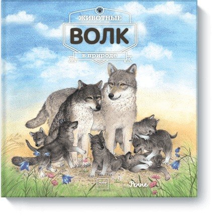 

Животные в природе. Волк