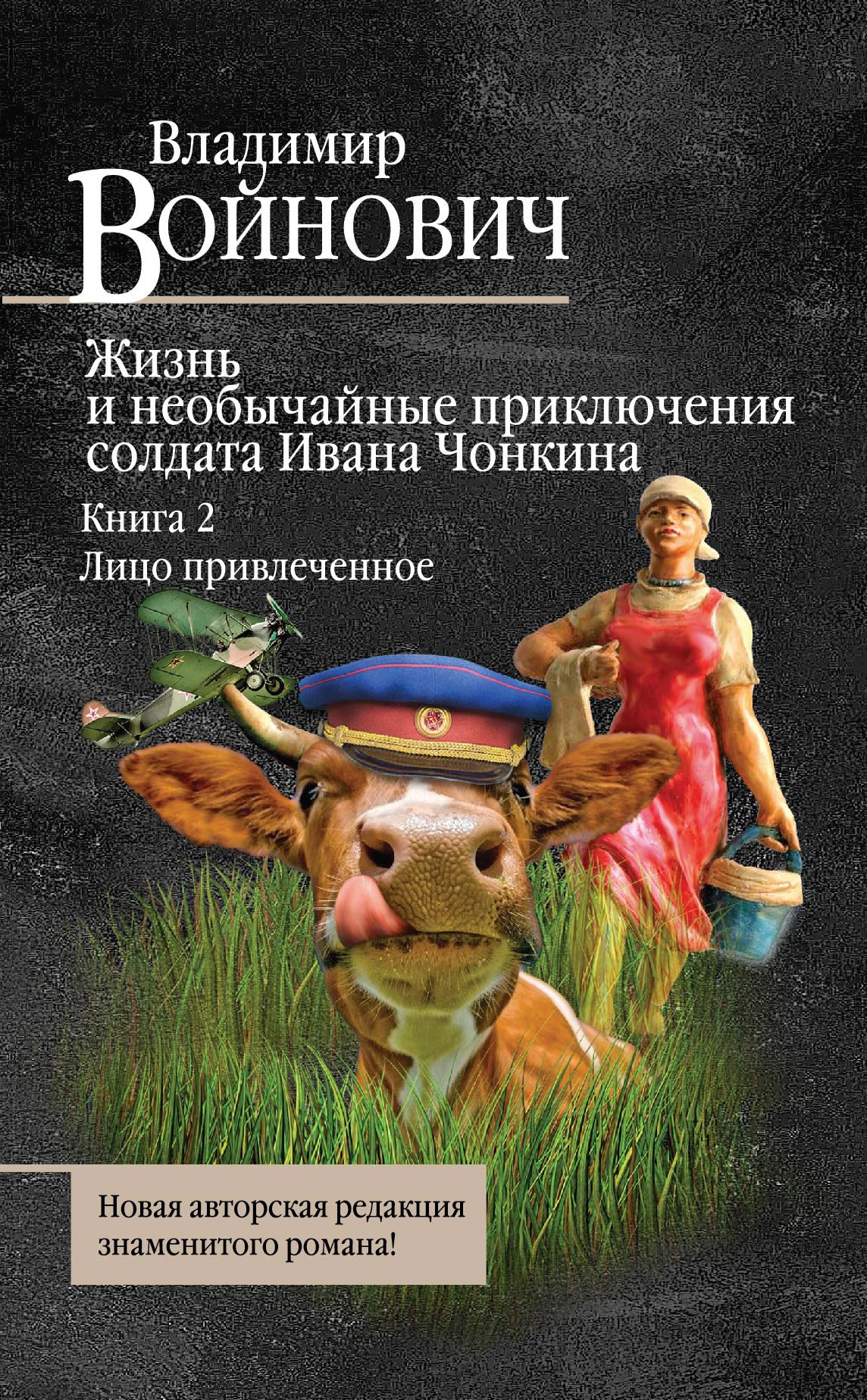 

Жизнь и необычайные приключения солдата Ивана Чонкина. Книга 2. Лицо привлеченное