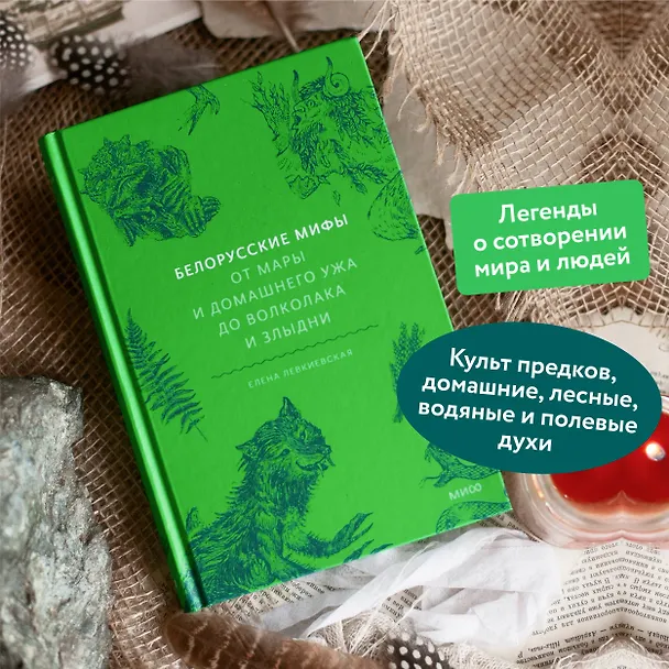 Книга Белорусские мифы. От Мары и домашнего ужа до волколака и Злыдни (Елена Левкиевская) — 8