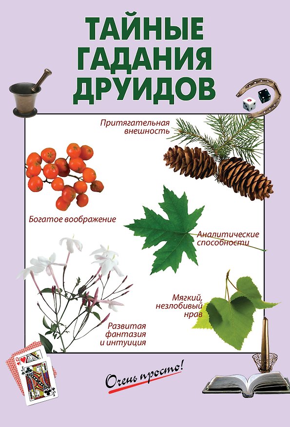 Книга Тайные гадания друидов () — 1