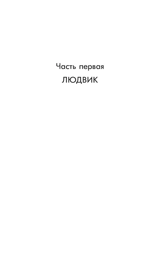 Книга Шутка (Милан Кундера) — 7