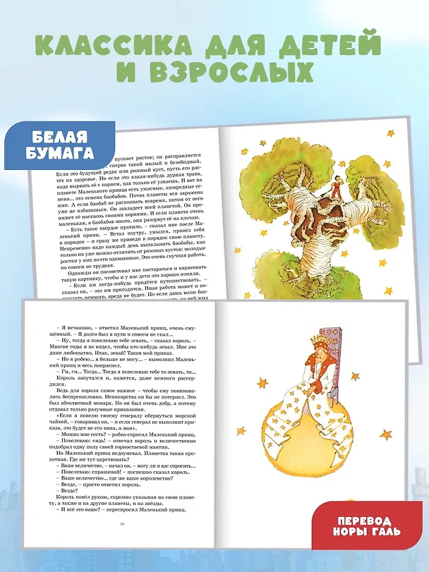 Книга Маленький принц (Антуан де Сент-Экзюпери) — 6