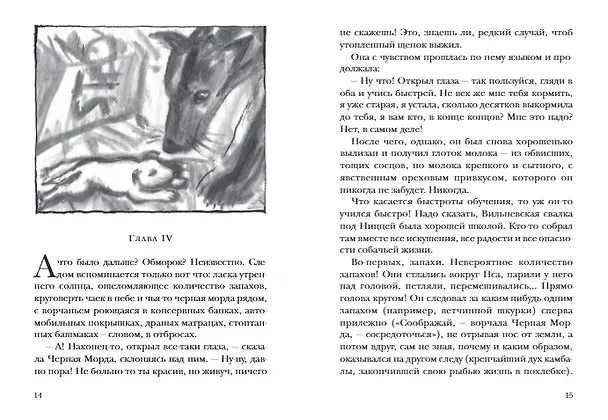 Книга Собака Пёс (Даниэль Пеннак) — 4