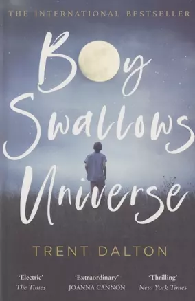 Boy Swallows Universe — 2826299 — 1