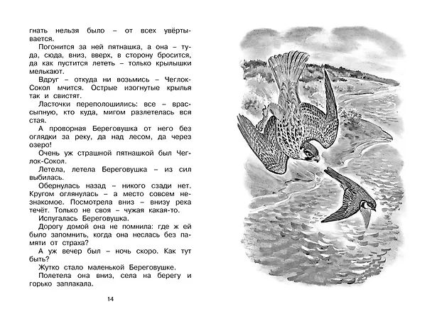 Книга Как Лис Ежа перехитрил (Виталий Бианки) — 8