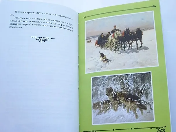 Книга Ужасы Сибири (Эмилио Сальгари) — 5