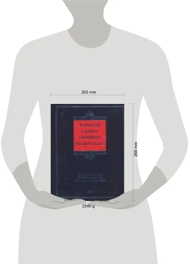 Книга Толковый словарь омонимов  русского языка: 20 000 рядов омографов, 80 000 словарных статей, 100 000 семантических единиц (Татьяна Ефремова) — 2