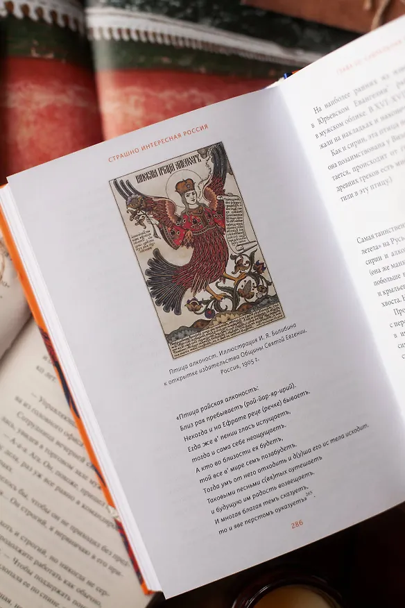 Книга Страшно интересная Россия. Народные суеверия, котики Романовых и птица вещая (Наталья Серёгина, Надежда Адамович) — 13