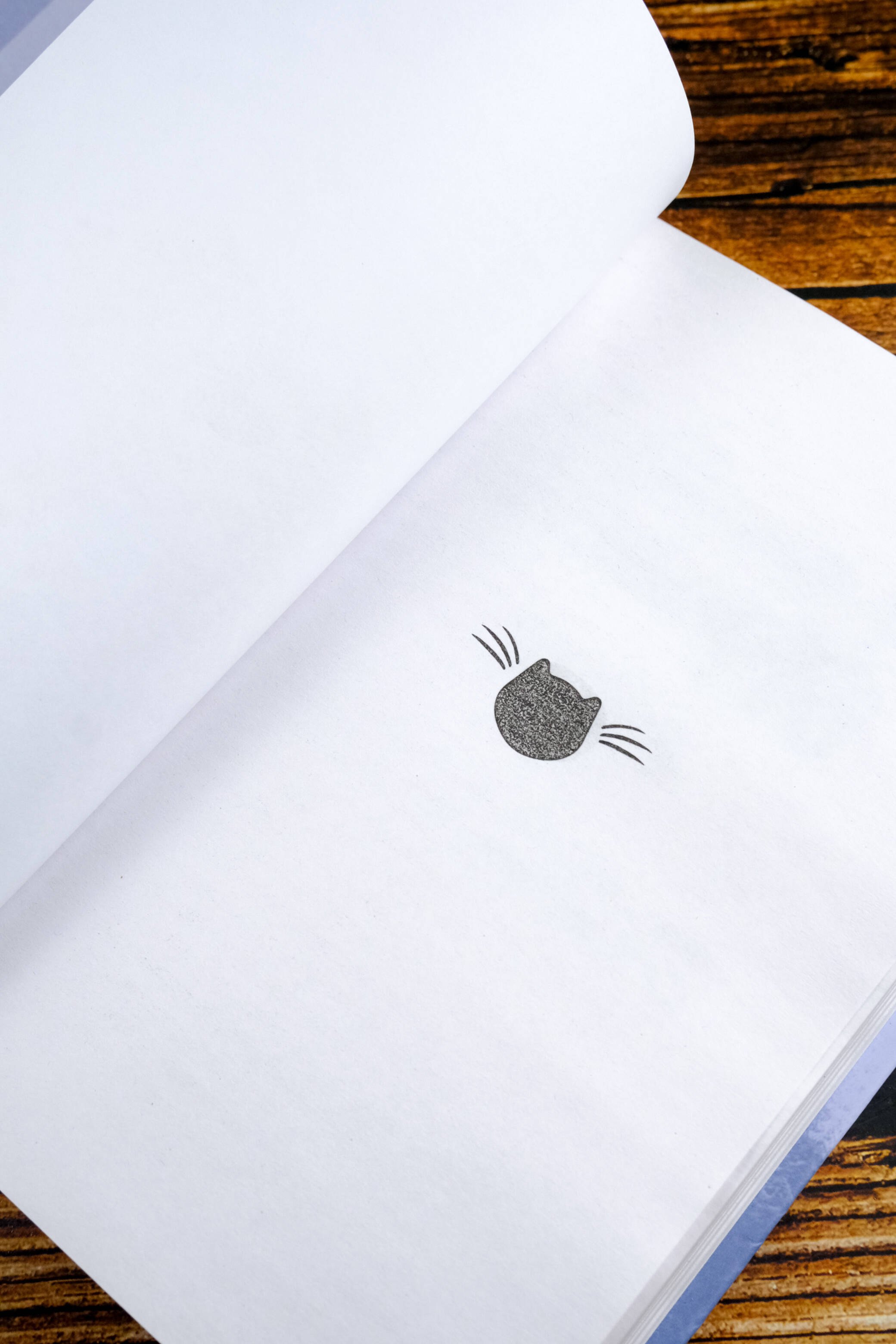 Изображение бумажной книги