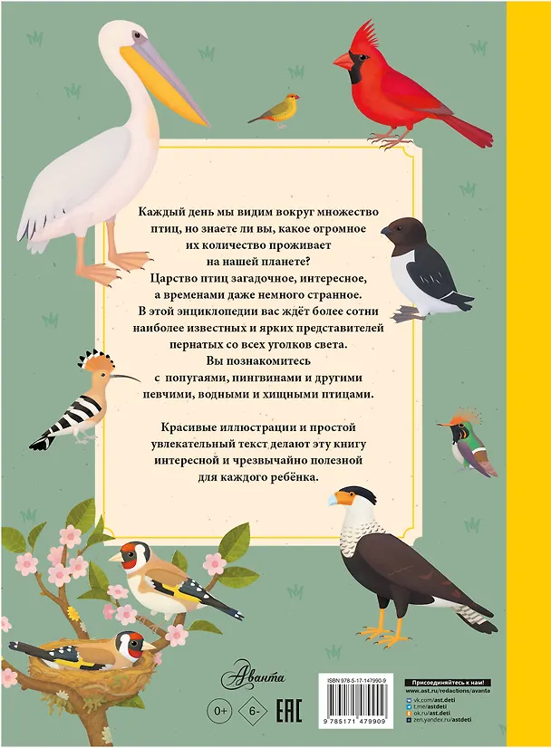 Книга Птицы (Томаш Тума) — 2