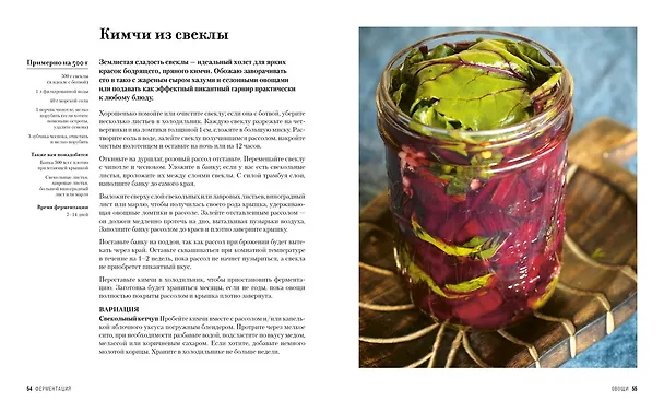 Книга Ферментация. Вкусные и полезные рецепты на каждый день (Рейчел Тампл де) — 5