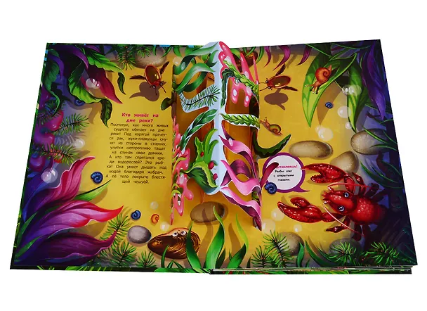Книга Тук-тук. Кто где живет. Книжка-панорамка (Оксана Иванова) — 2