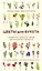 Цветы для букета. Справочник срезанных цветов для начинающего флориста. Что и когда покупать и как продлить цветам жизнь — 3059964 — 1
