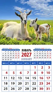 Календарь 2027г 94*167 «Год козы. Заботливая мама с малышом» на магните