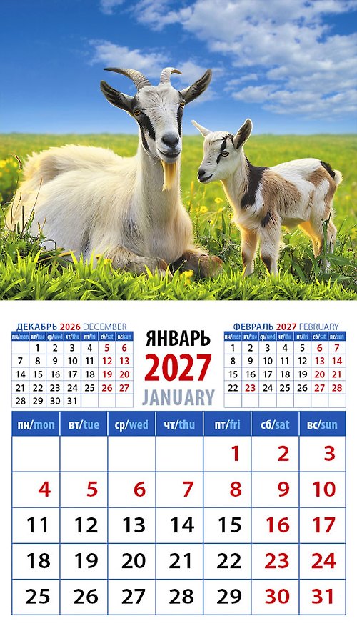 Календарь 2027г 94*167 «Год козы. Заботливая мама с малышом» на магните 3169592 — 1