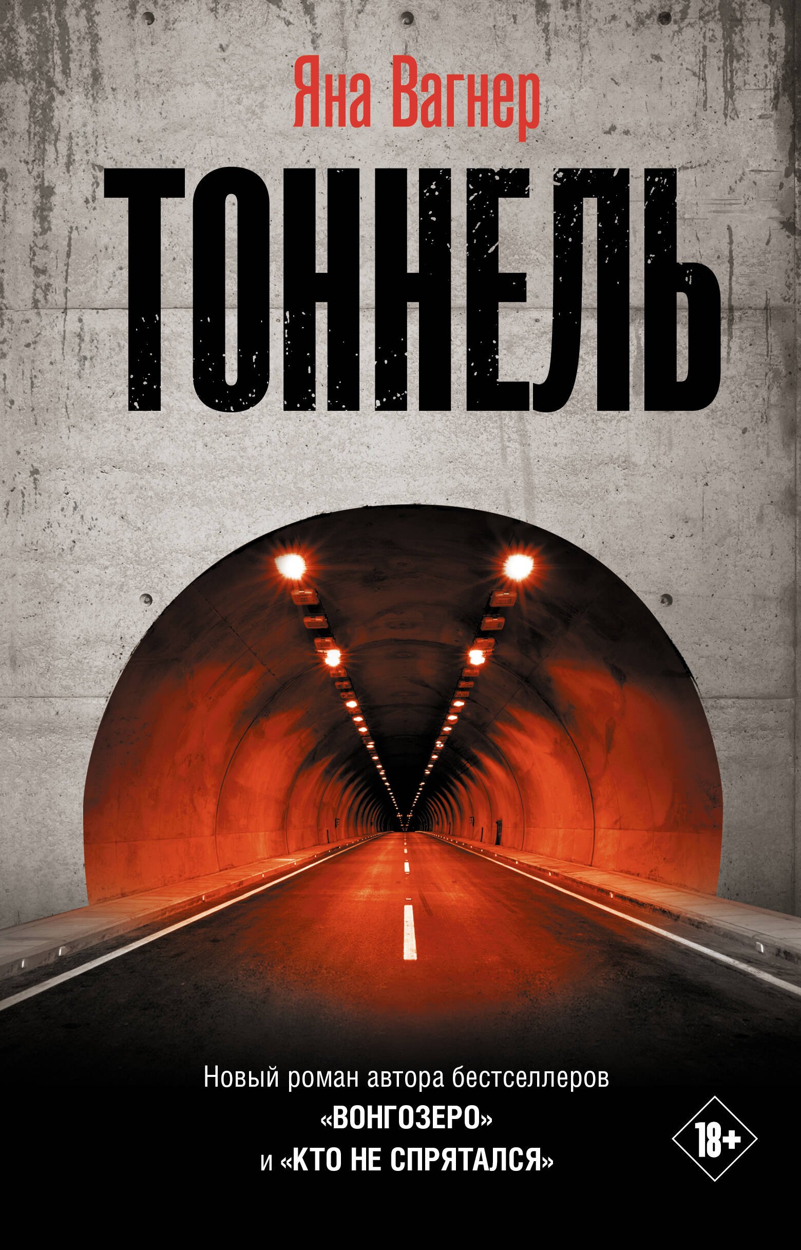 

Тоннель. Роман