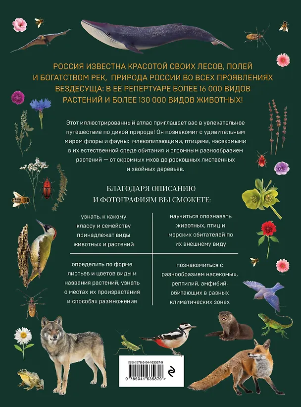 Книга Атлас живой природы России. Полный иллюстрированный справочник (Алина Ярощук) — 2