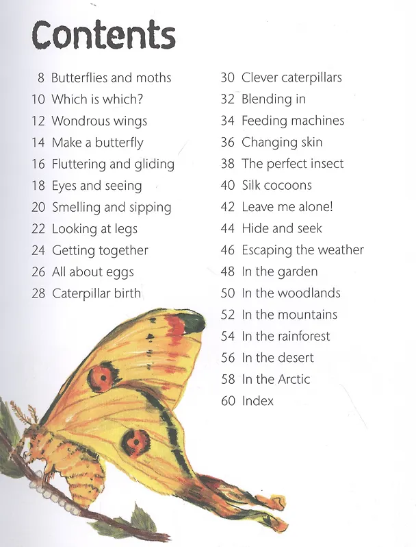 Книга Butterflies and Moths () — 2