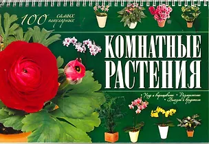 Книга Комнатные растения. 100 самых популярных. Уход и выращивание. Размножение. Болезни и вредители (Елена Хомич)