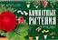 Комнатные растения. 100 самых популярных. Уход и выращивание. Размножение. Болезни и вредители — 2279666 — 1