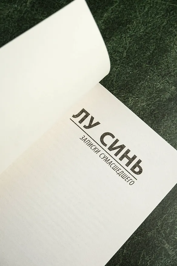 Книга Записки сумасшедшего (Синь Лу) — 8
