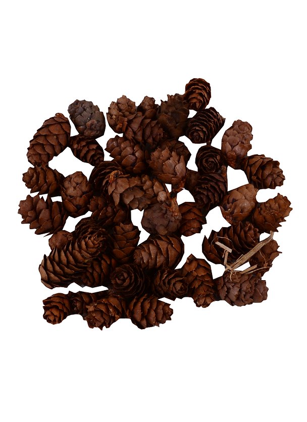 Шишка мелкая, 50 г 2688473 — 1