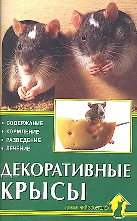 Декоративные крысы — 2313094 — 1