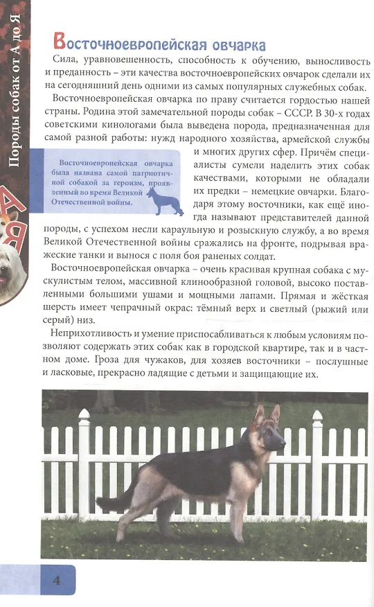 Книга ЭНЦИКЛОПЕДИЯ. В МИРЕ ЗНАНИЙ. ПОРОДЫ СОБАК ОТ А ДО Я () — 3