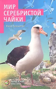 Мир серебристой чайки.