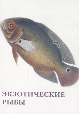 Книга Экзотические рыбы. Набор открыток ()