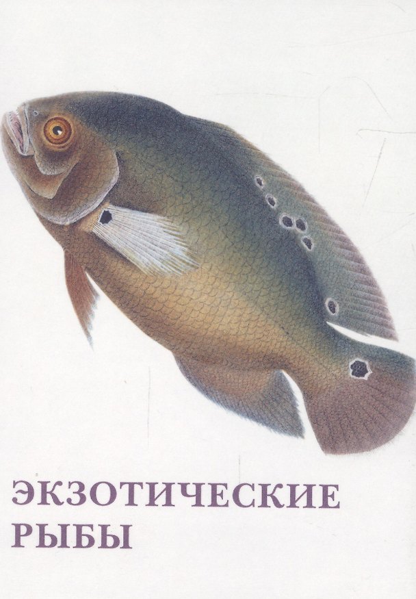 Книга Экзотические рыбы. Набор открыток () — 1