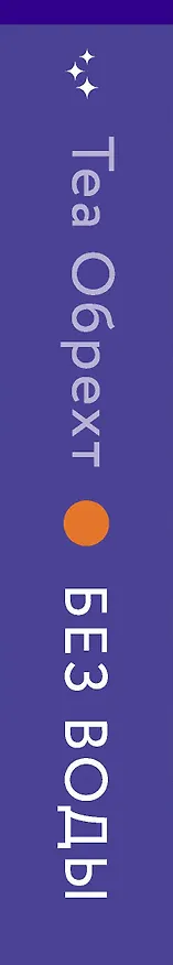 Книга Без воды (Теа Обрехт) — 3