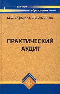 Практический аудит: учебное пособие