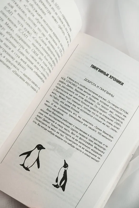 Книга Унесенная пингвинами (Хейзел Прайор) — 17