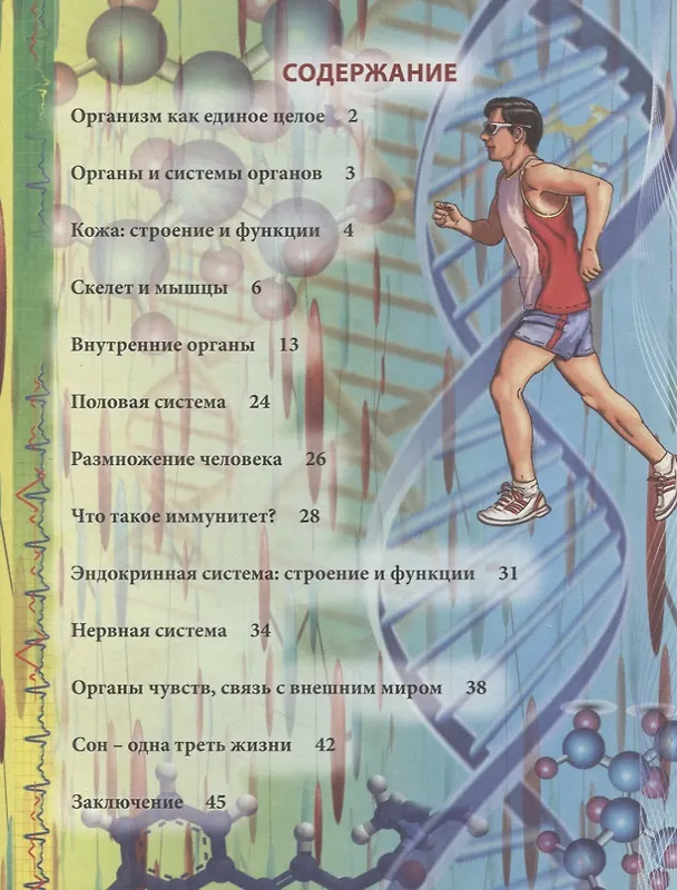 Книга Тело человека. Энциклопедия () — 2