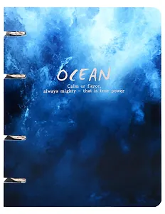 Тетрадь 100л кл. "Ocean" на кольцах, пласт.обл., полноцв.печать, тиснение фольгой Серебро