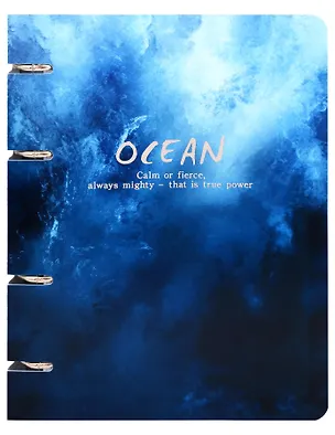 Тетрадь 100л кл. "Ocean" на кольцах, пласт.обл., полноцв.печать, тиснение фольгой Серебро 3149275
