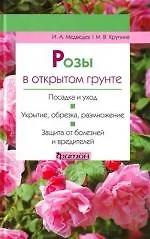 Фитон.Розы в открытом грунте