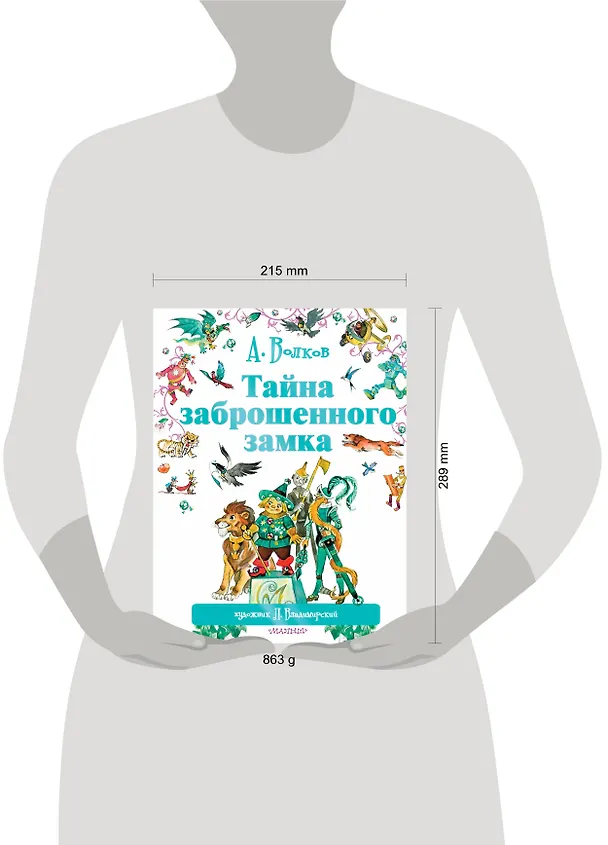 Книга Тайна заброшенного замка (Александр Волков) — 11